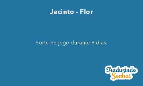 Significado do sonho Jacinto - Flor